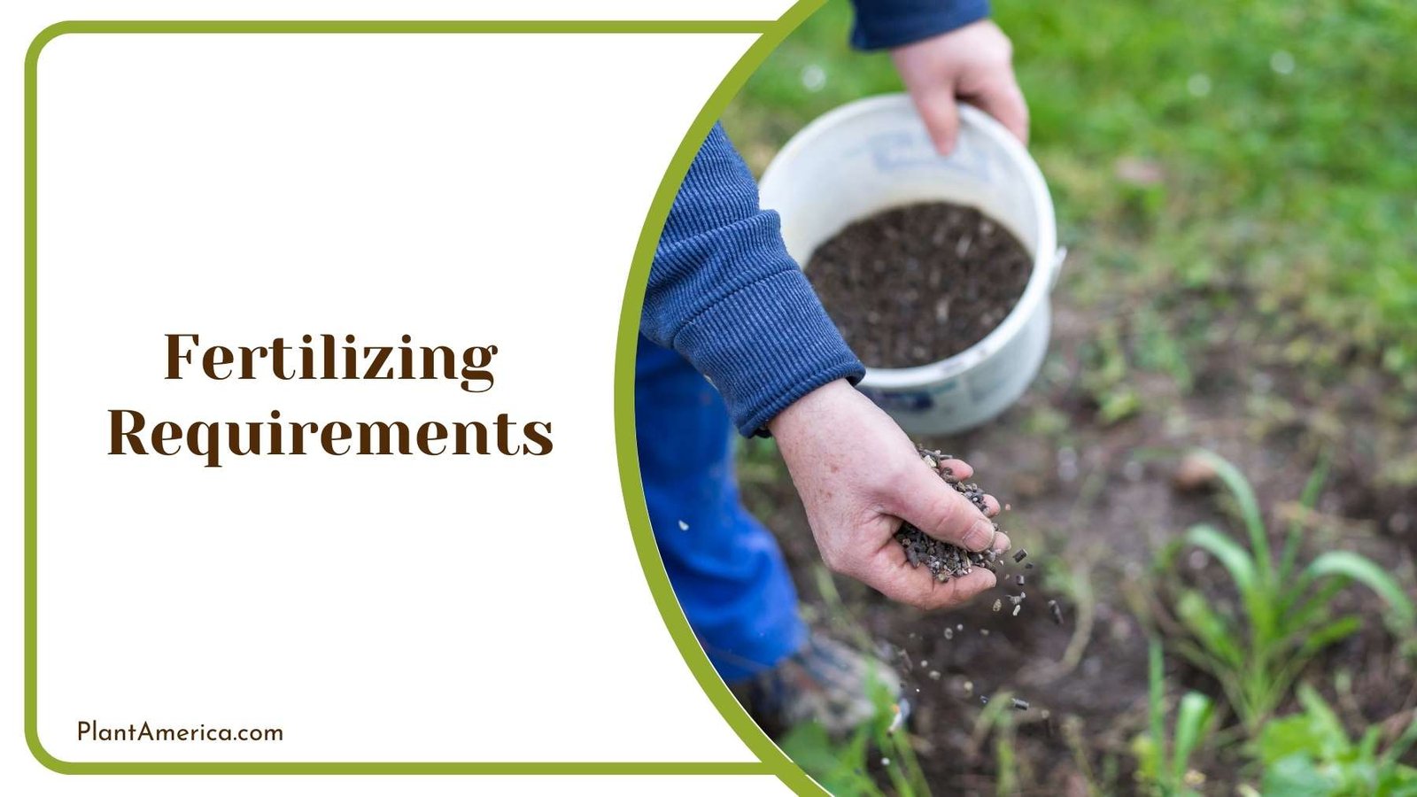 Farmer Tossing Bio Fertilizer Plant America Farmer Tossing Bio Fertilizer Plant America