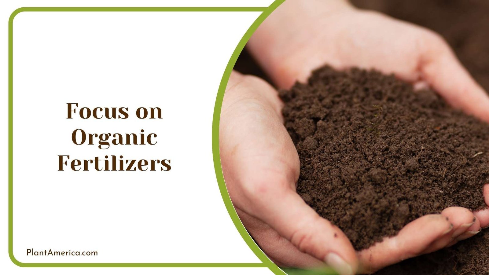 Focus on Organic Fertilizers Plant America