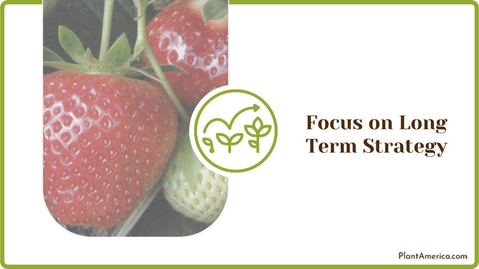 Focusing on Long Term Strategy Plant America Focusing on Long Term Strategy Plant America