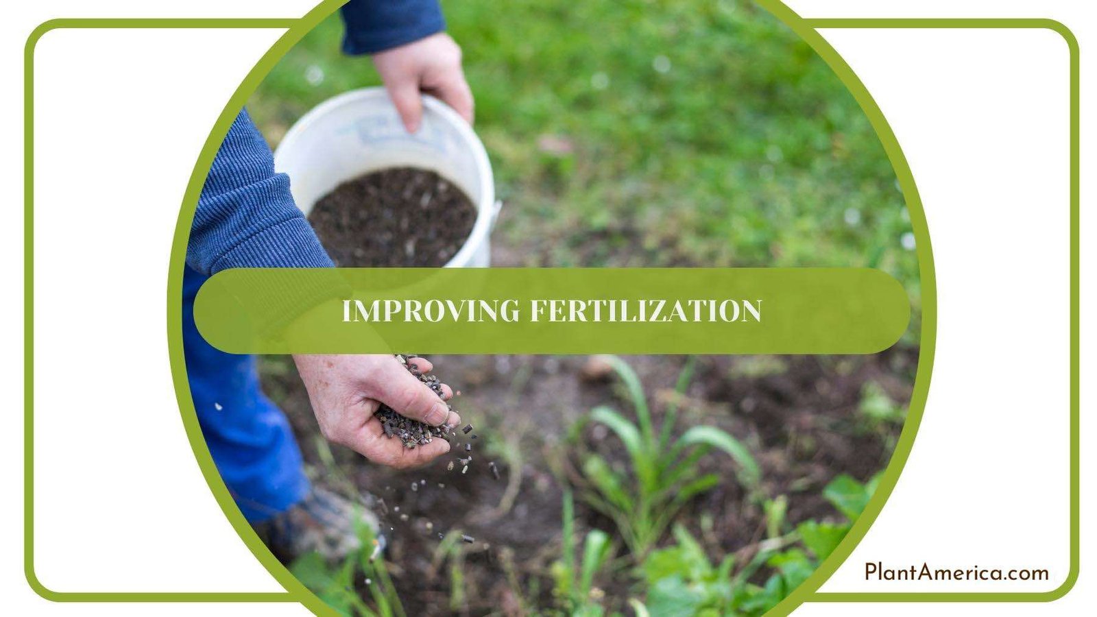 Gardener Tossing Fertilizer On The Ground Plant America