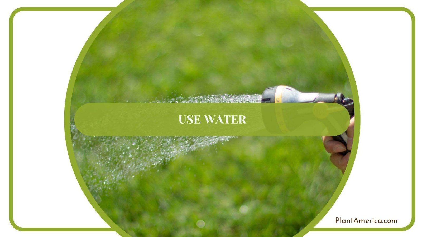 Gardener Watering The Land PlantAmerica