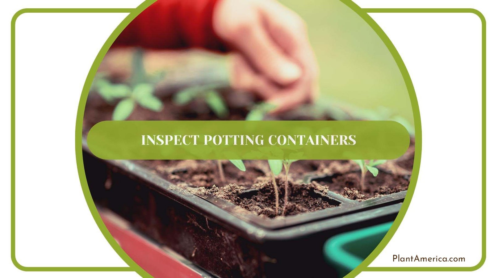 Gardener While Inspecting Potting Containers PlantAmerica Gardener While Inspecting Potting Containers PlantAmerica