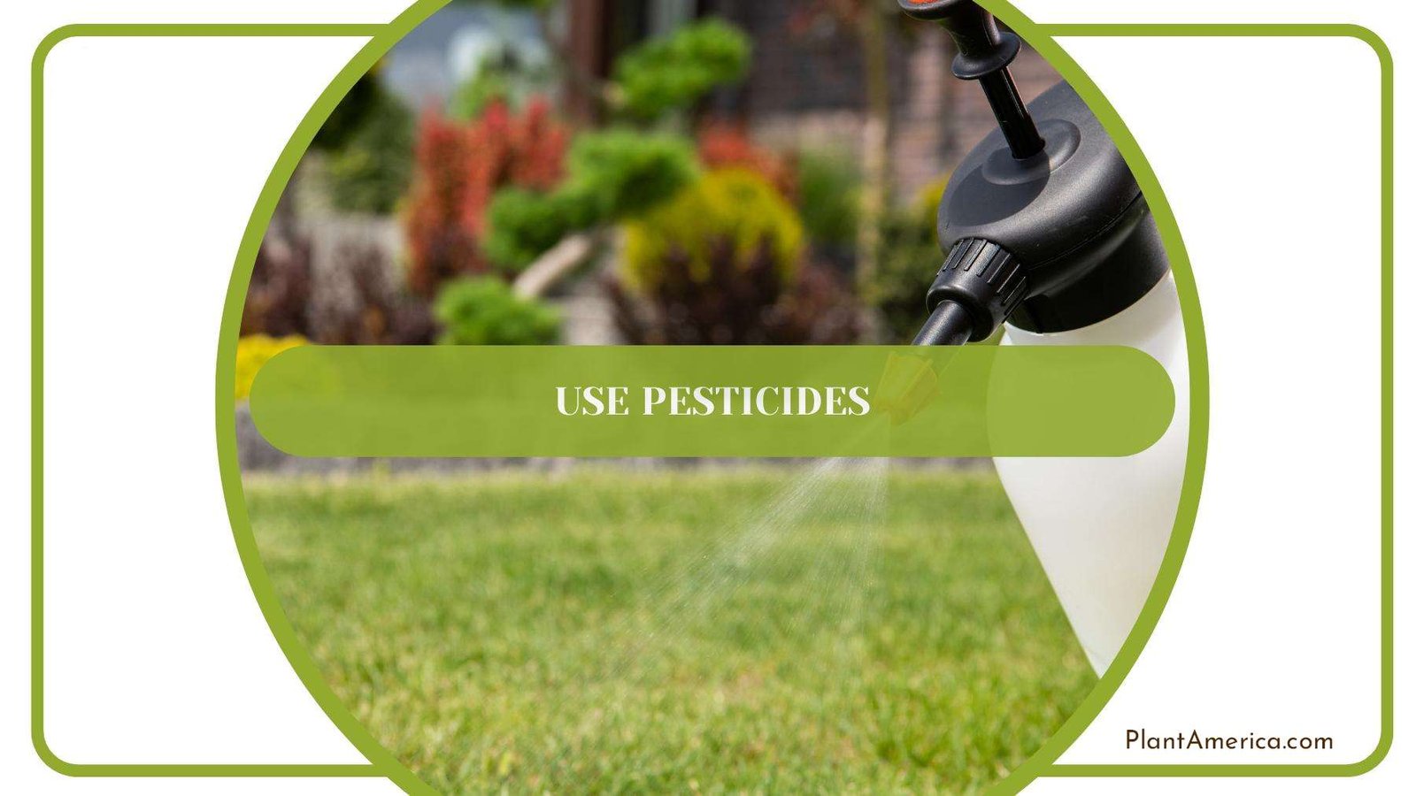 Gardener While Using Pesticide With White Container PlantAmerica