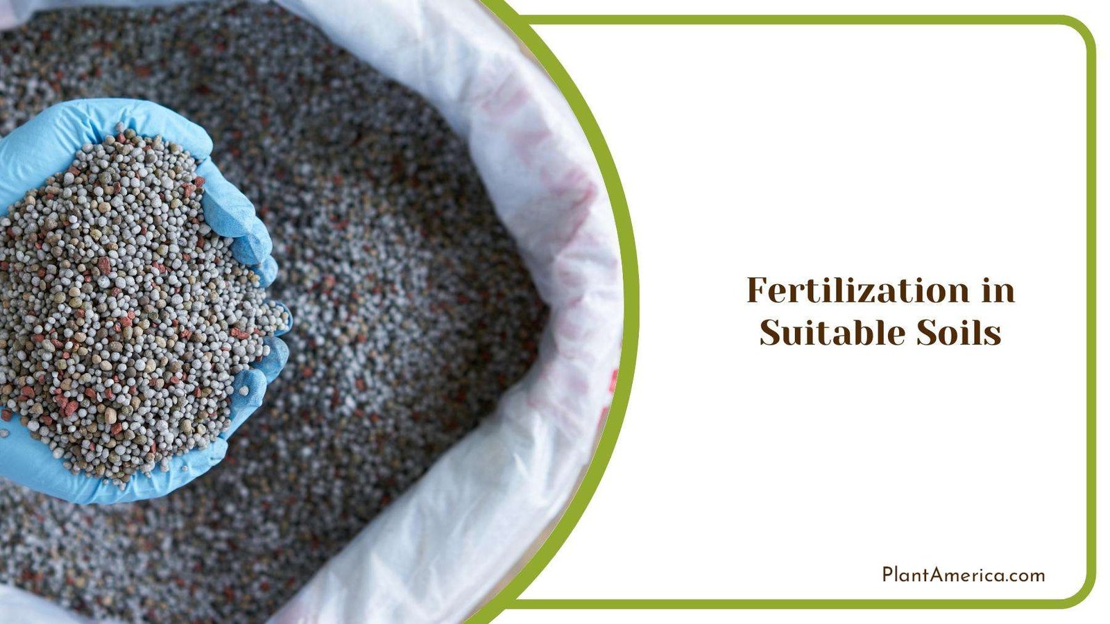 Gardener With Hand Full Of Fertilizer Plant America