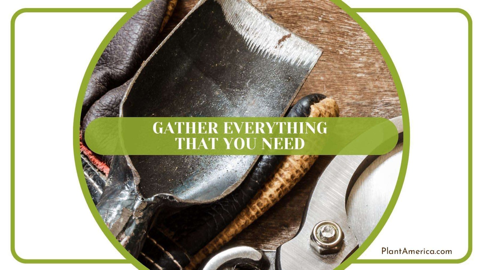 Gathering Everything That Needed PlantAmerica