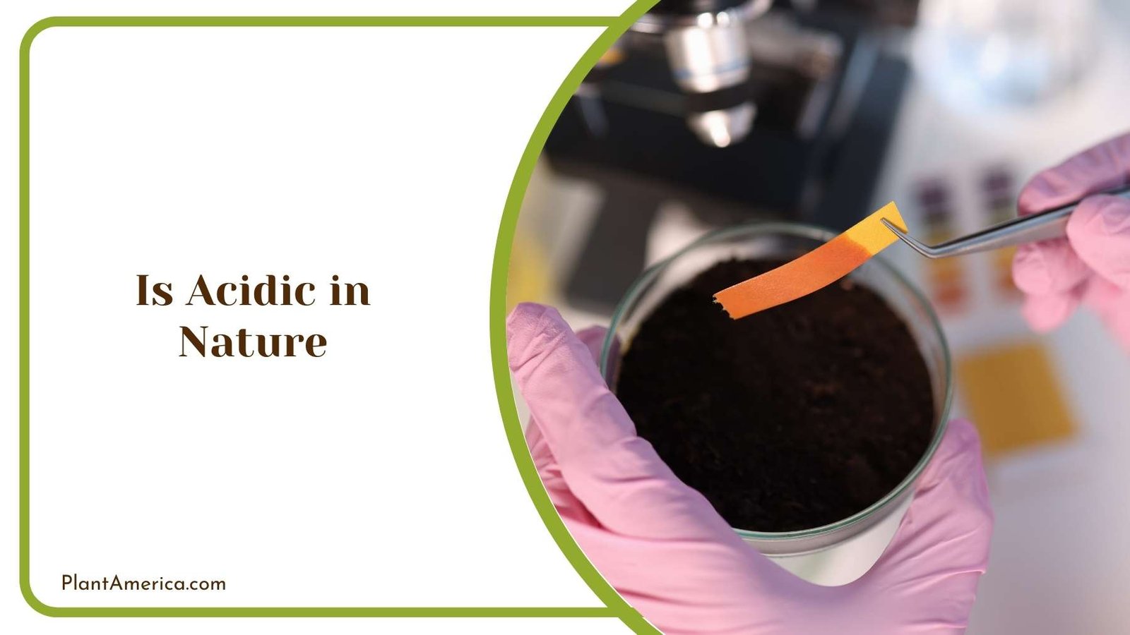 Is Acidic in Nature Plant America