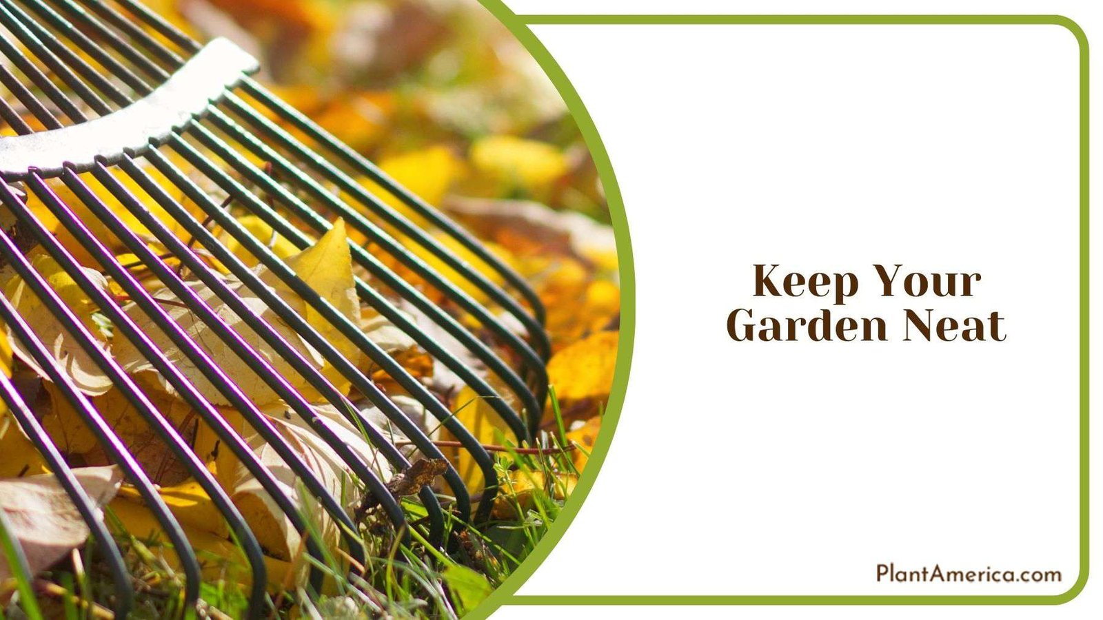 Keeping Garden Neat Plant America