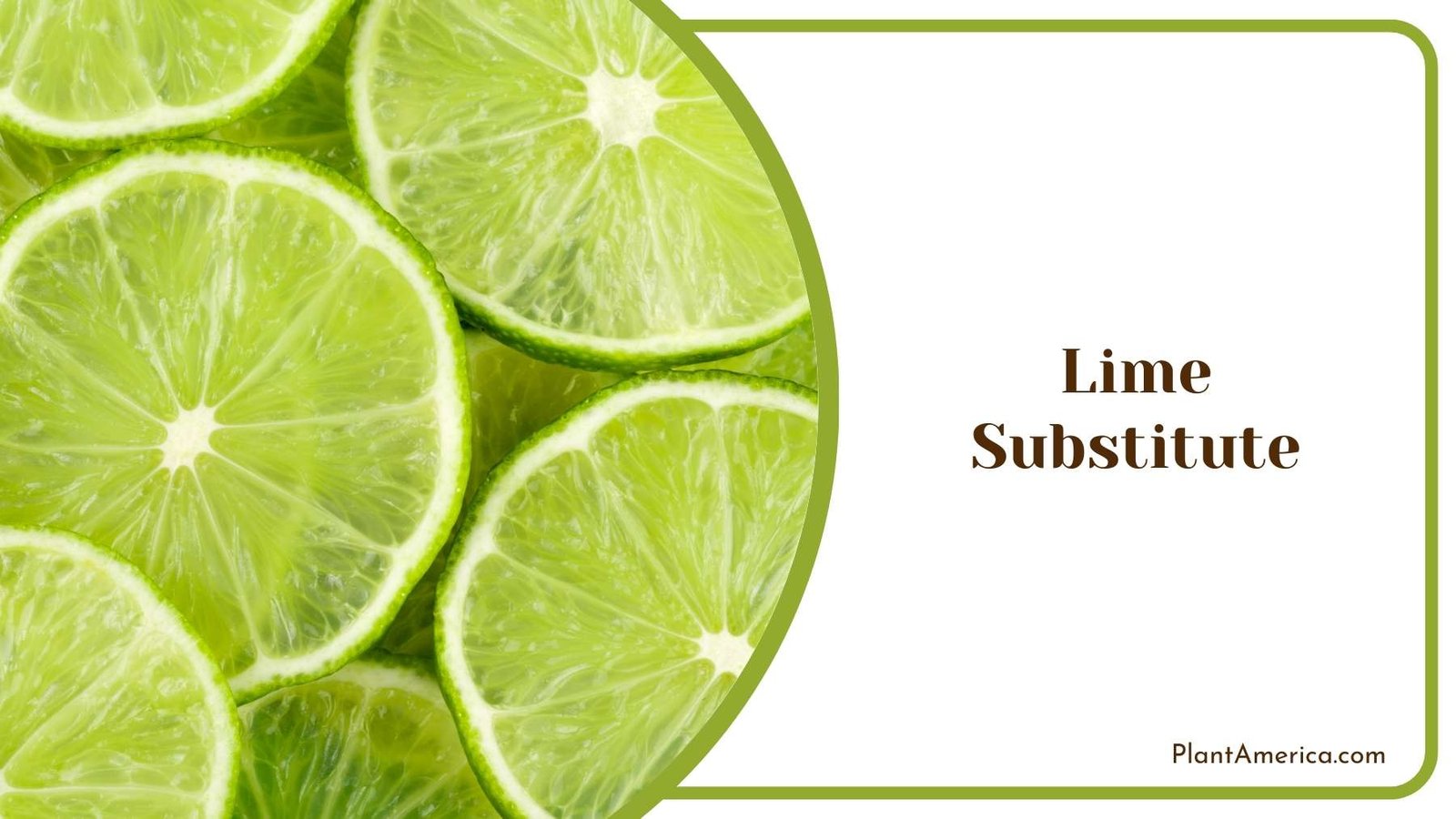 Lime Substitute From Close Shot Plant America