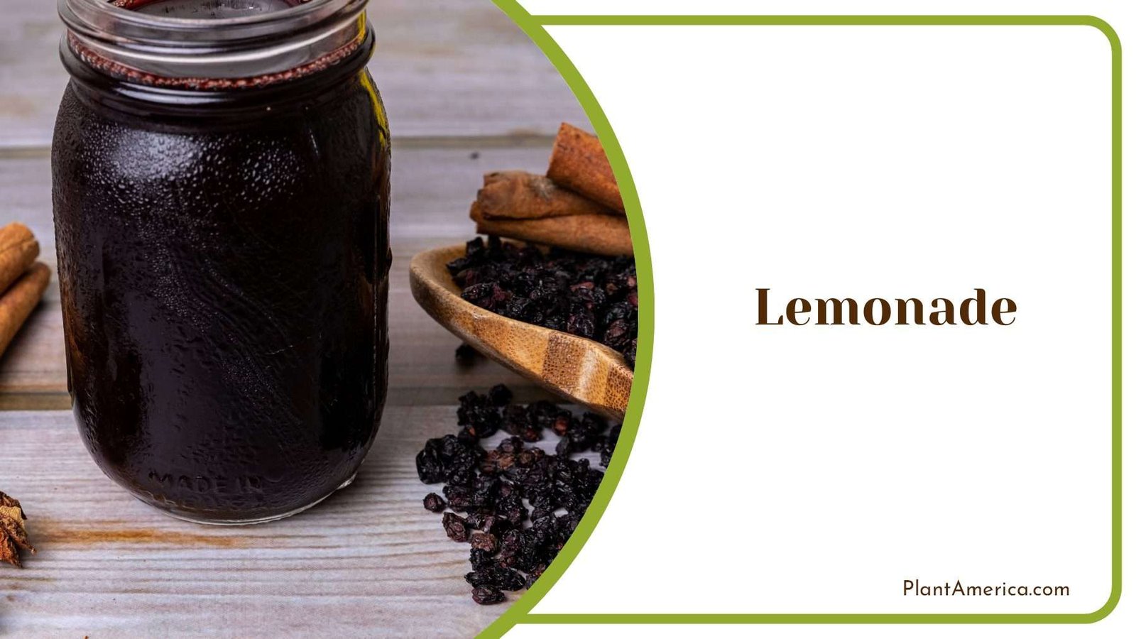 Marmalade Of Lemonade Plant America