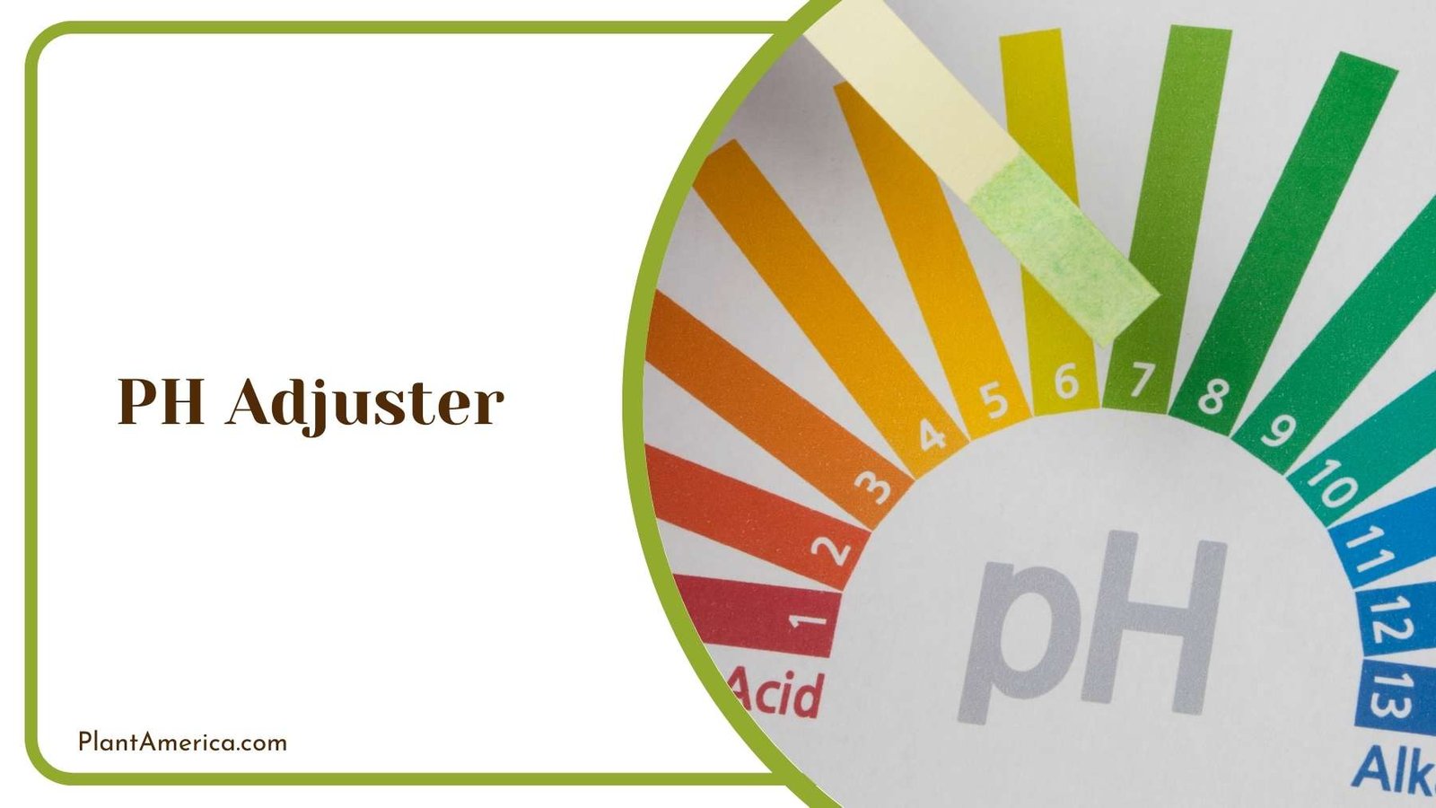 PH Adjuster Plant America