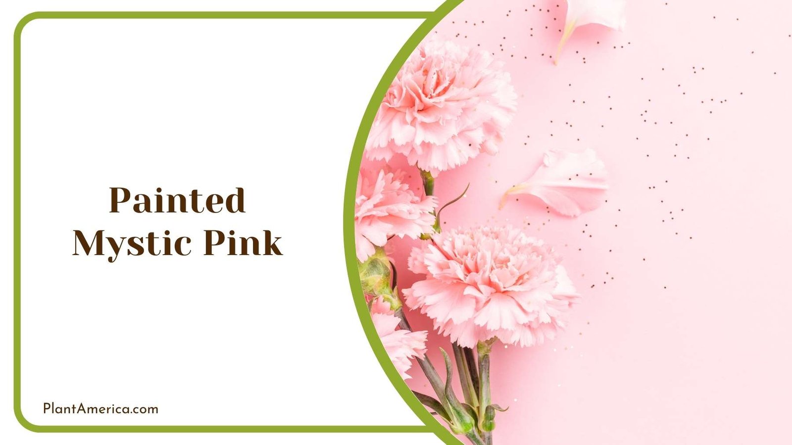 Painted Mystic Pink On a Background Plant America