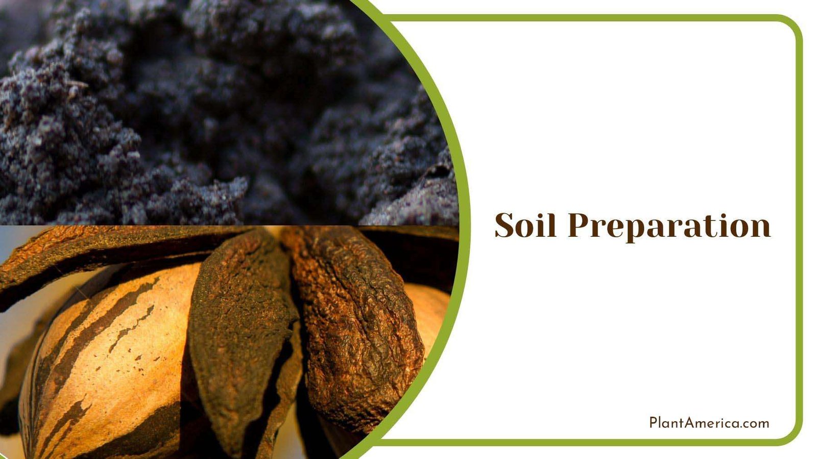 Pecan Tree Soil Preparation PlantAmerica Pecan Tree Soil Preparation PlantAmerica