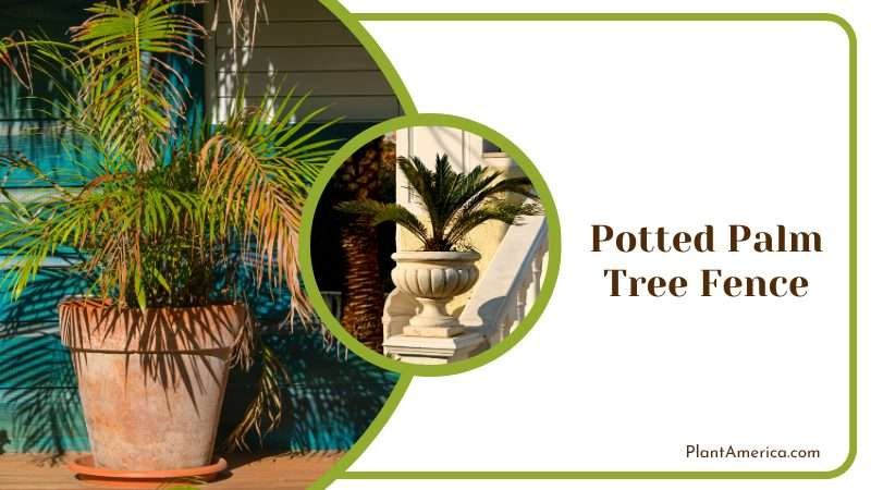 Potted Palm Tree in front of House Plant America