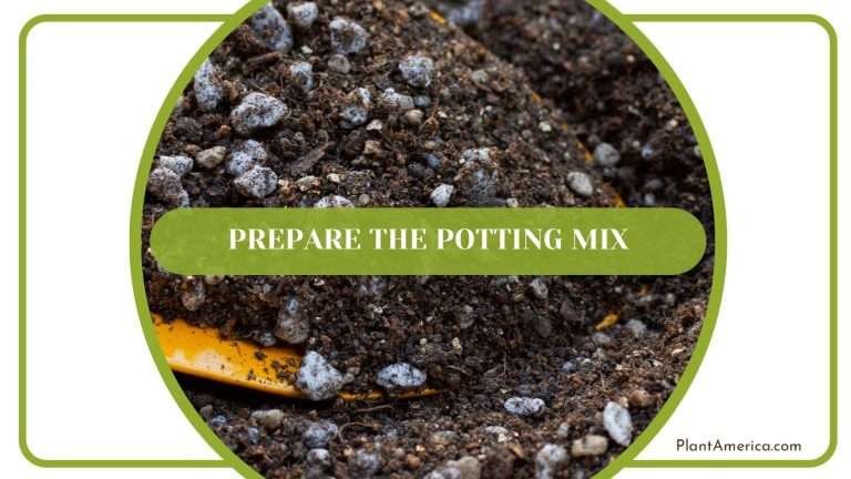 Potting compost Fertiligène Transplant 6 L main image 1