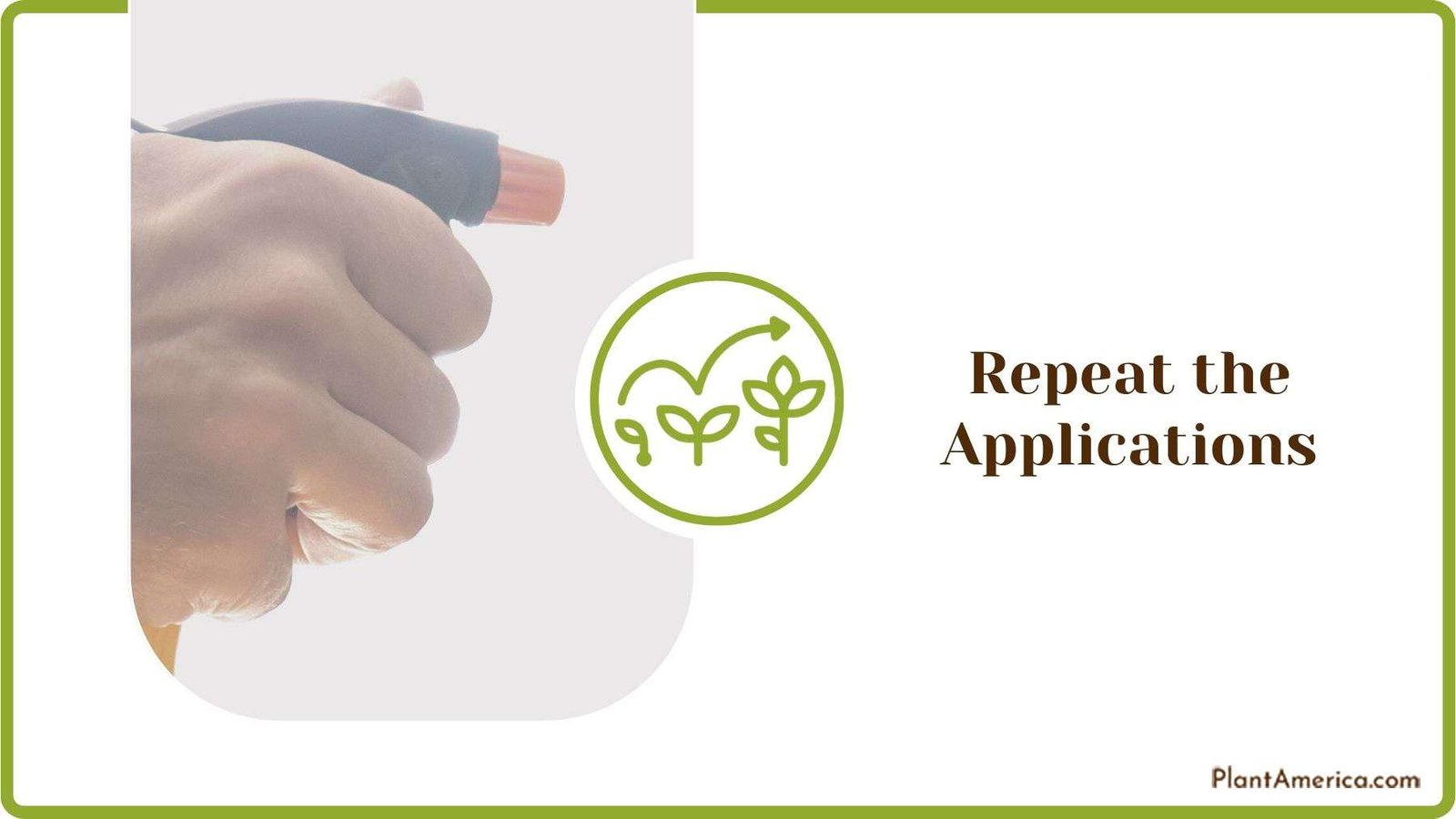 Repeating the Applications Plant America