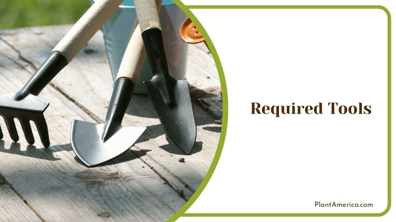Required Tools for Transplanting Lime Tree PlantAmerica Required Tools for Transplanting Lime Tree PlantAmerica