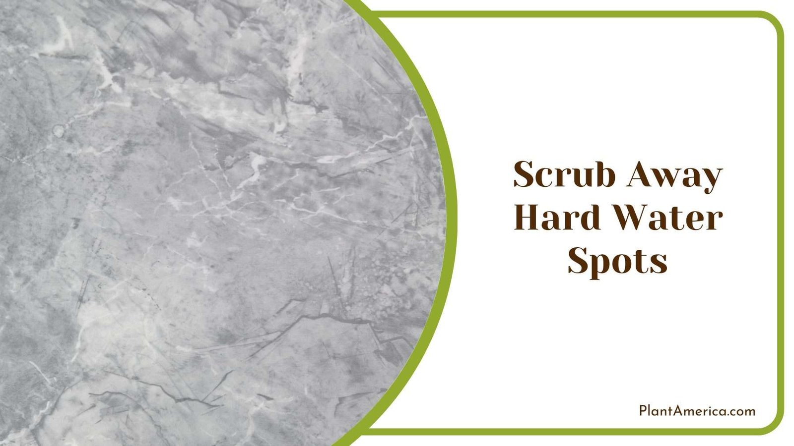 Scrub Away Hard Water Spots Plant America