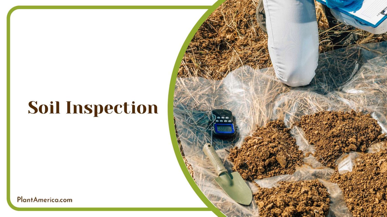 Soil Inspection Process Plant America