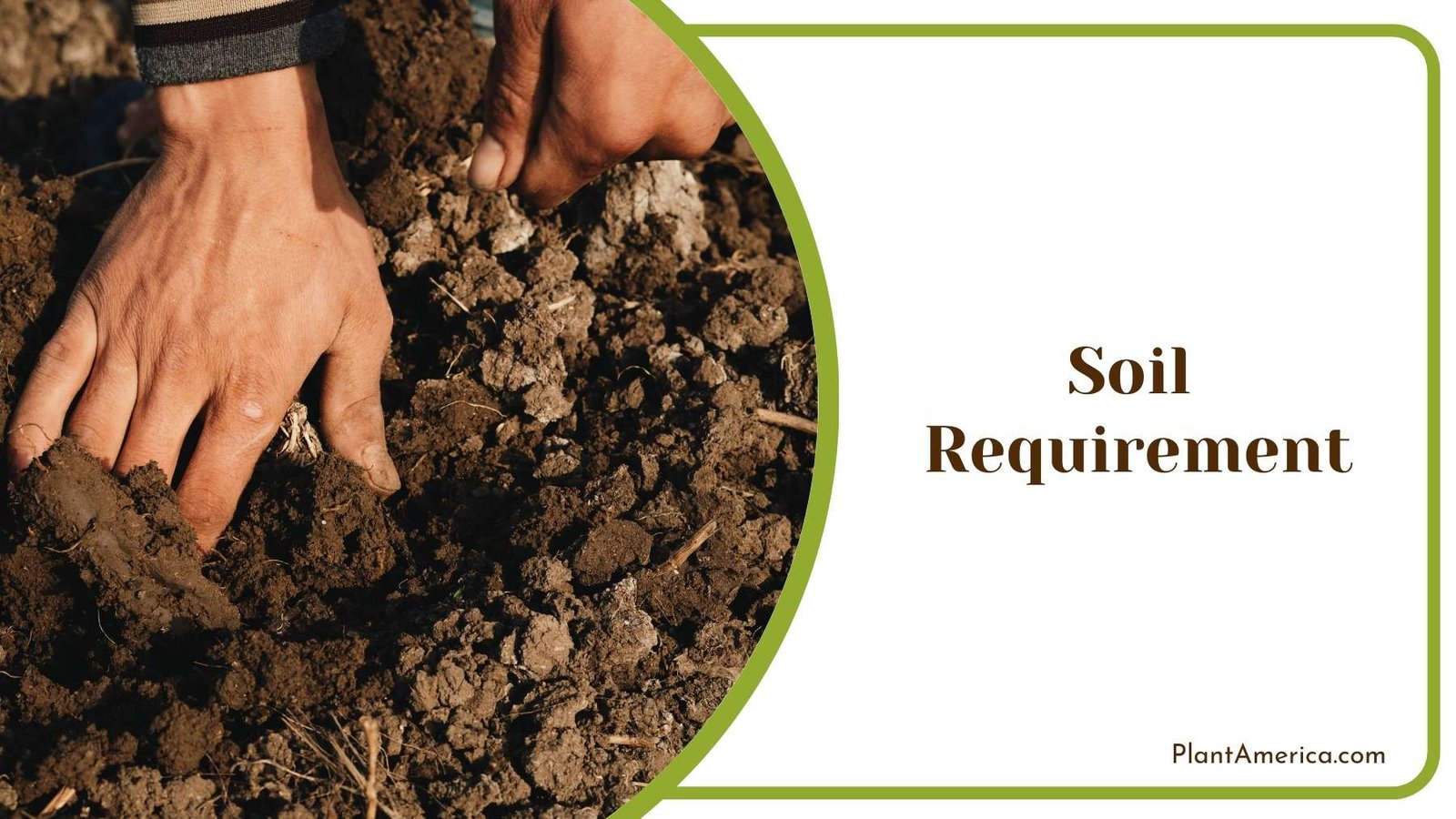 Soil Under Hands Plant America Soil Under Hands Plant America