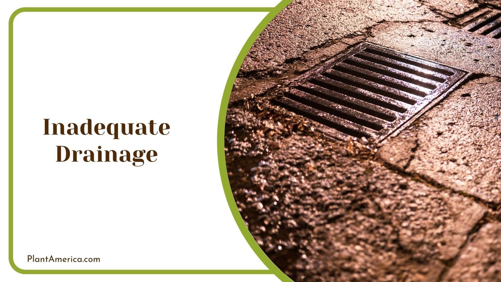 Street Drainage Plant America