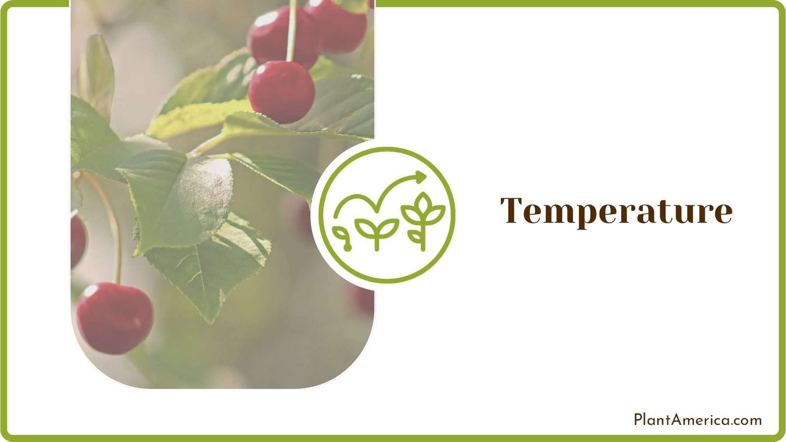 Temperature Requirements for Plants