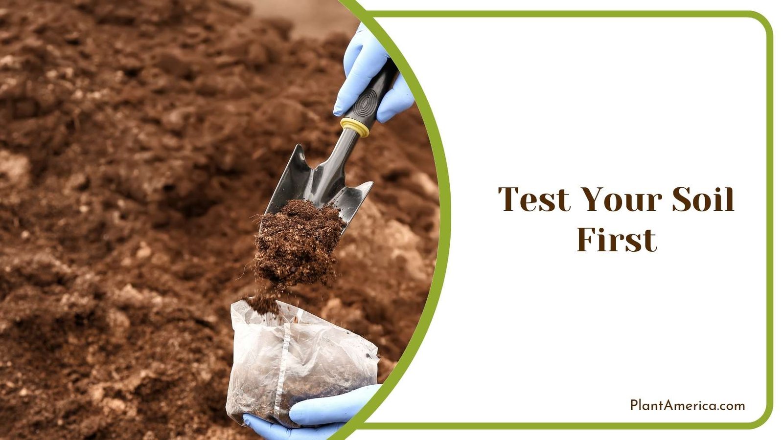 Test Your Soil First Plant America