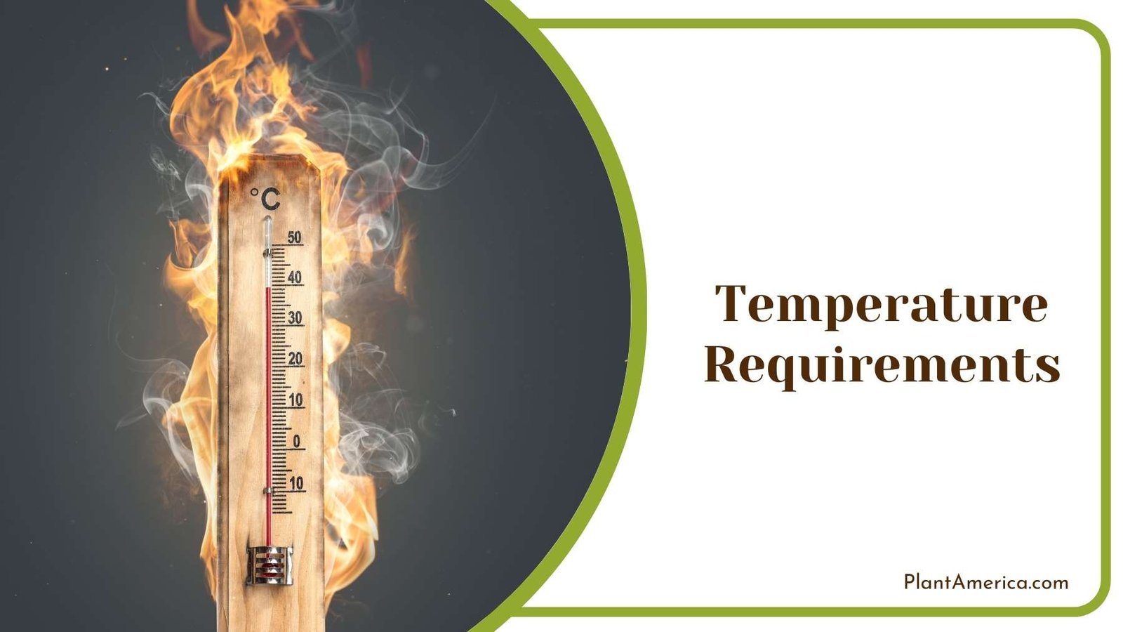 Thermometer Cover With Fire Plant America Thermometer Cover With Fire Plant America