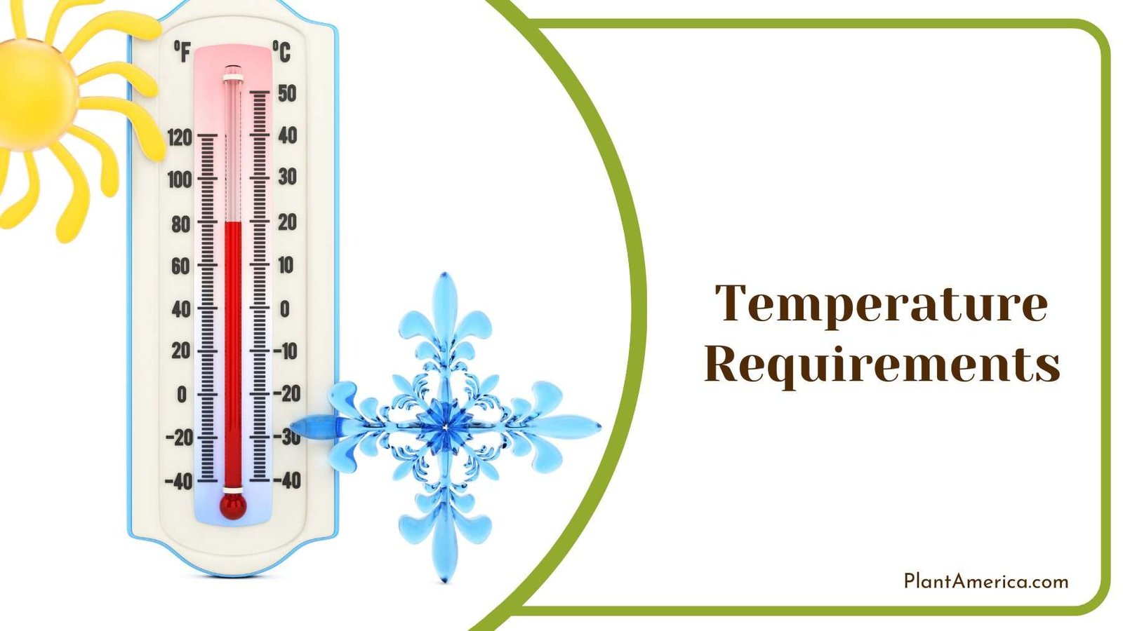 Thermometer On a White Background Plant America Thermometer On a White Background Plant America