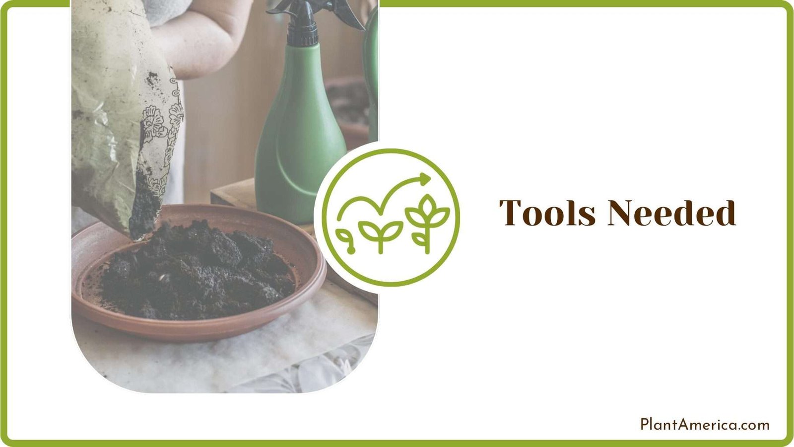 Tools Needed for the Transplanting PlantAmerica