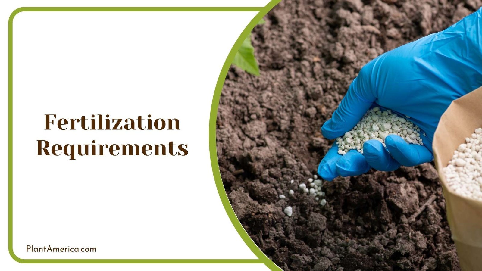 Tossing Fertilizer On a Land Plant America