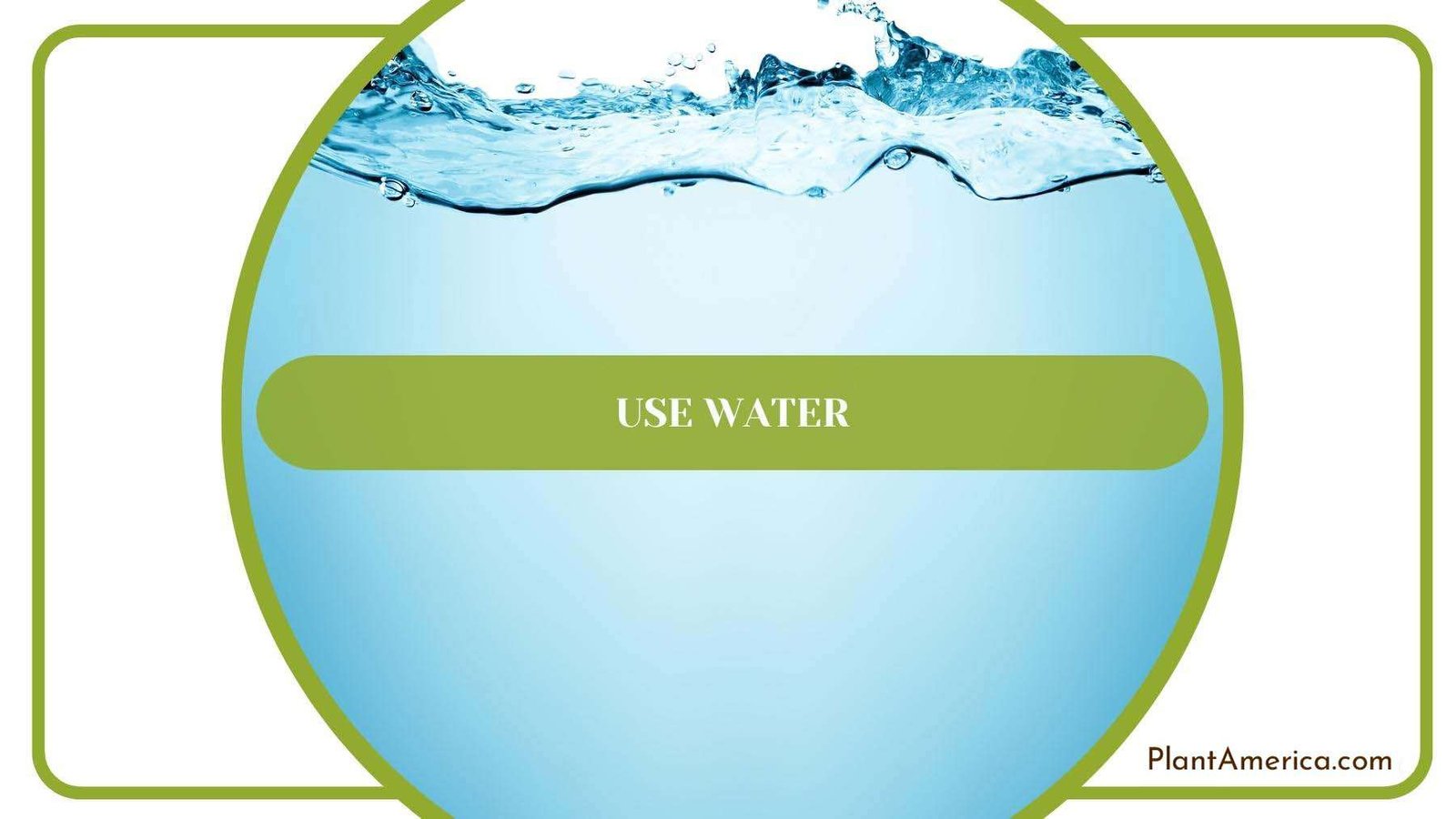 Water From Side View Plant America