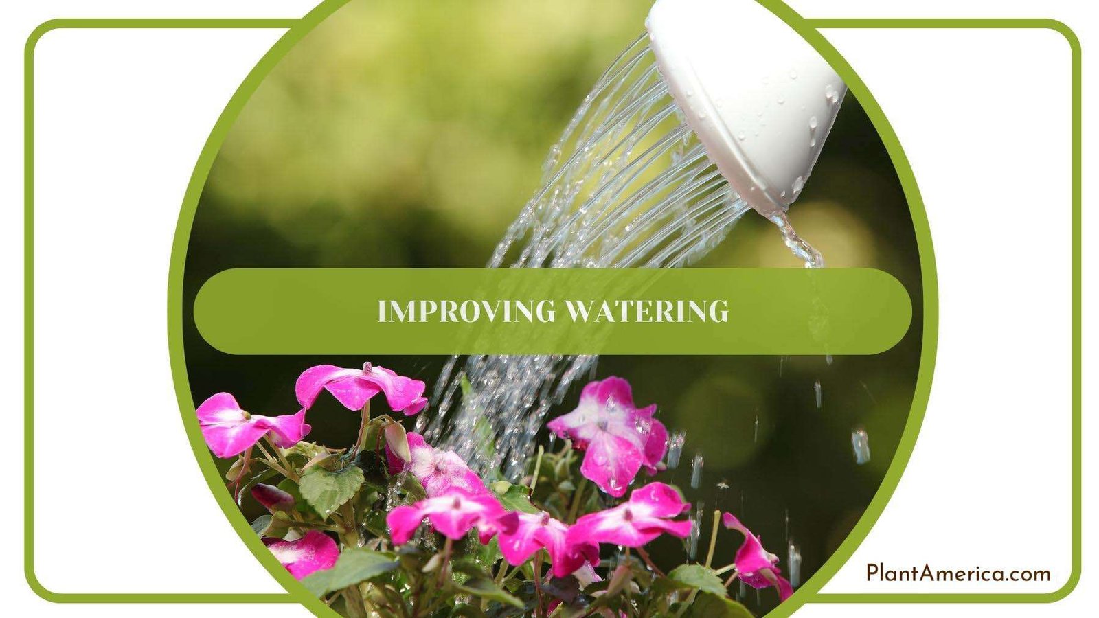 Watering The Plant Pot With Nozzle Plant America