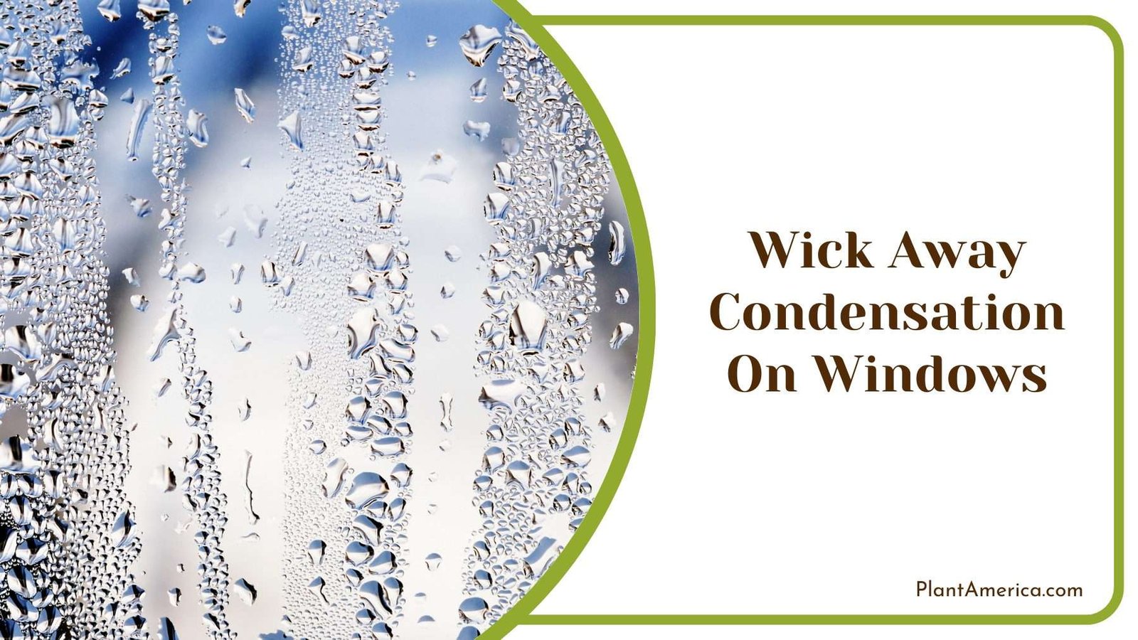 Wick Away Condensation On Windows Plant America