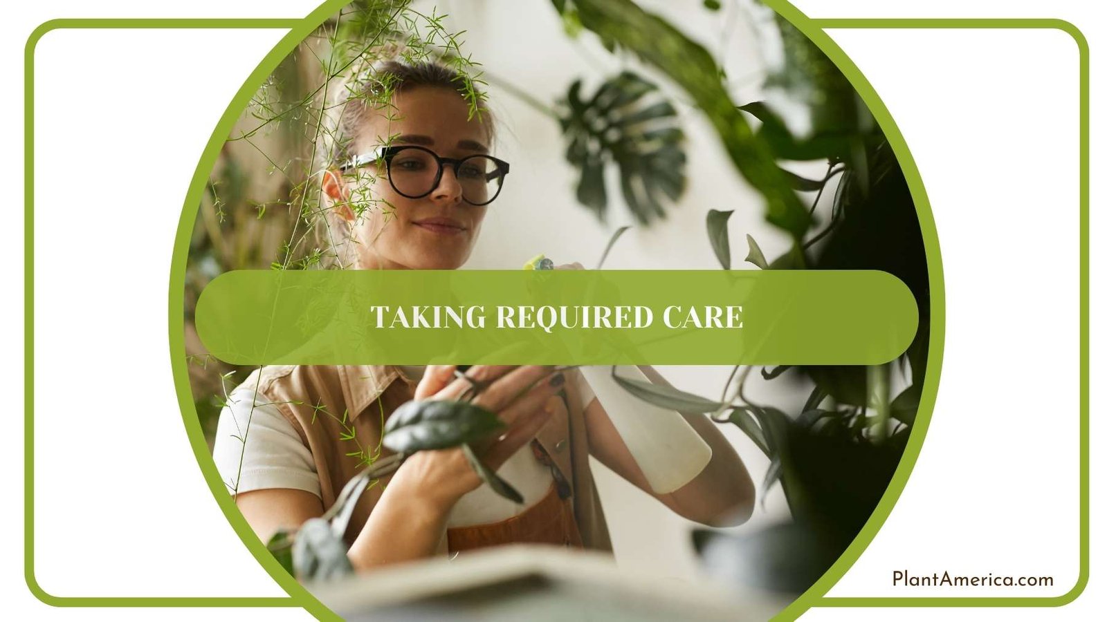 Woman Taking Required Care Plant America