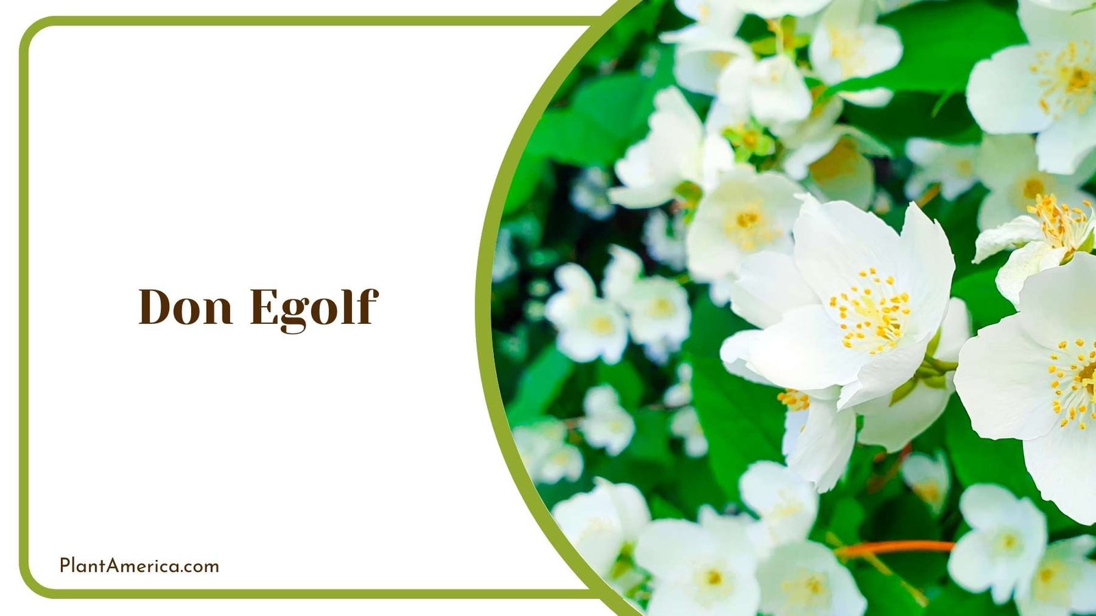 A Picture Of Don Egolf Plant America