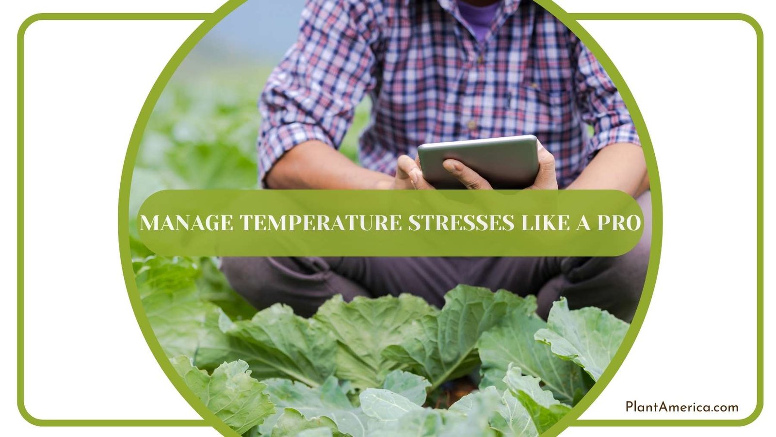 A Shot From Managing Temperature Stresses Like a Pro Plant America A Shot From Managing Temperature Stresses Like a Pro Plant America