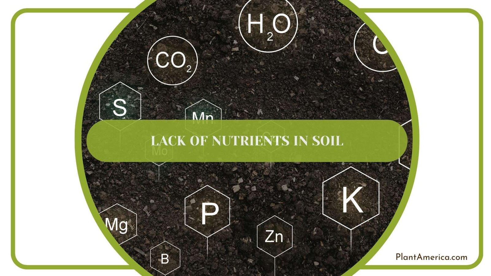 A Shot From Nutrients in Soil Plant America A Shot From Nutrients in Soil Plant America