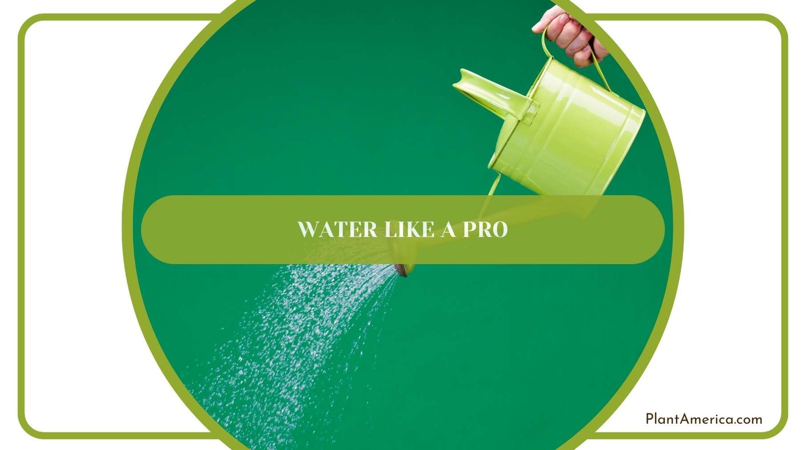 A Shot From Water Like a Pro Plant America