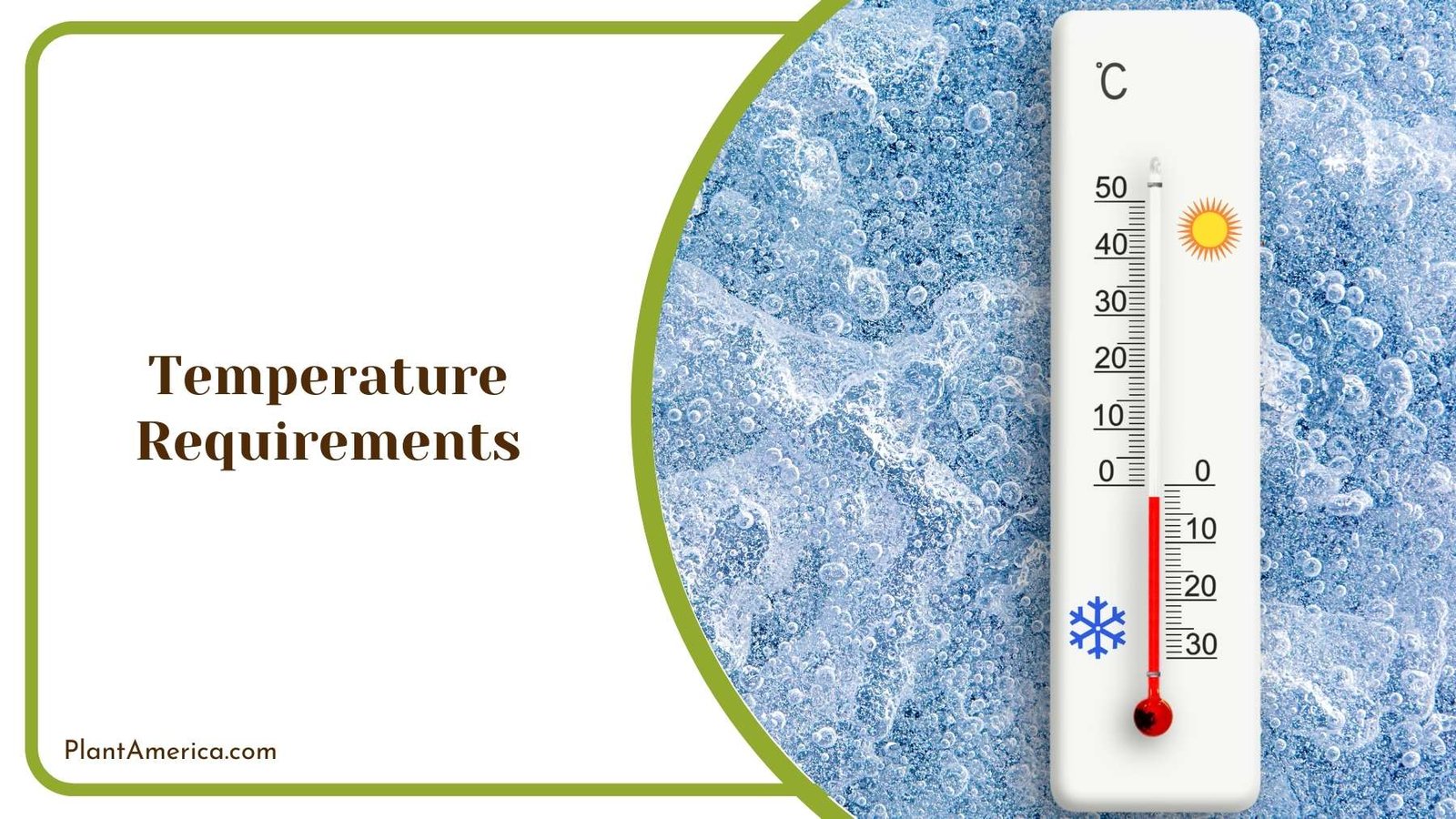 A Thermometer On a Freezing Surface Plant America