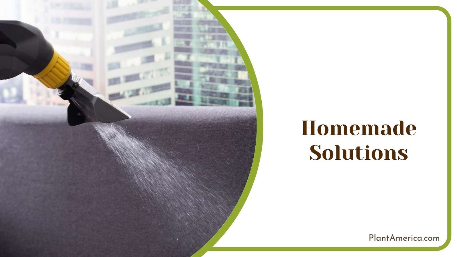 Applying Homemade Solutions Plant America