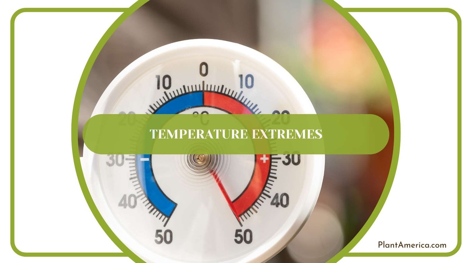 Circle Thermometer Plant America Circle Thermometer Plant America