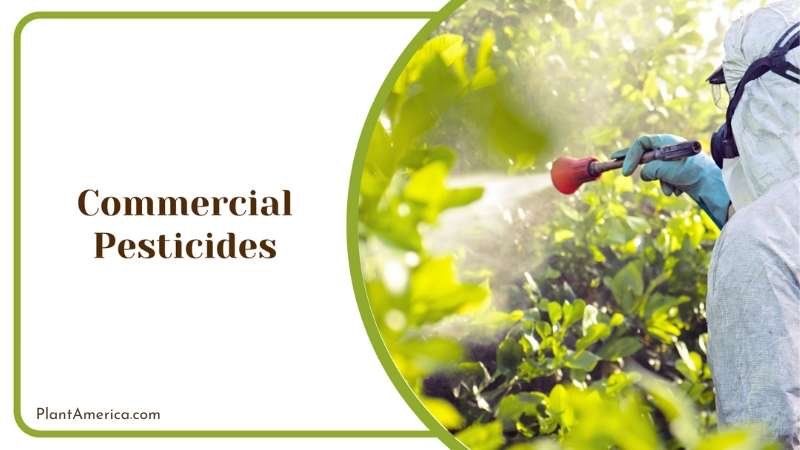 Commercial Pesticides in Garden Plant America