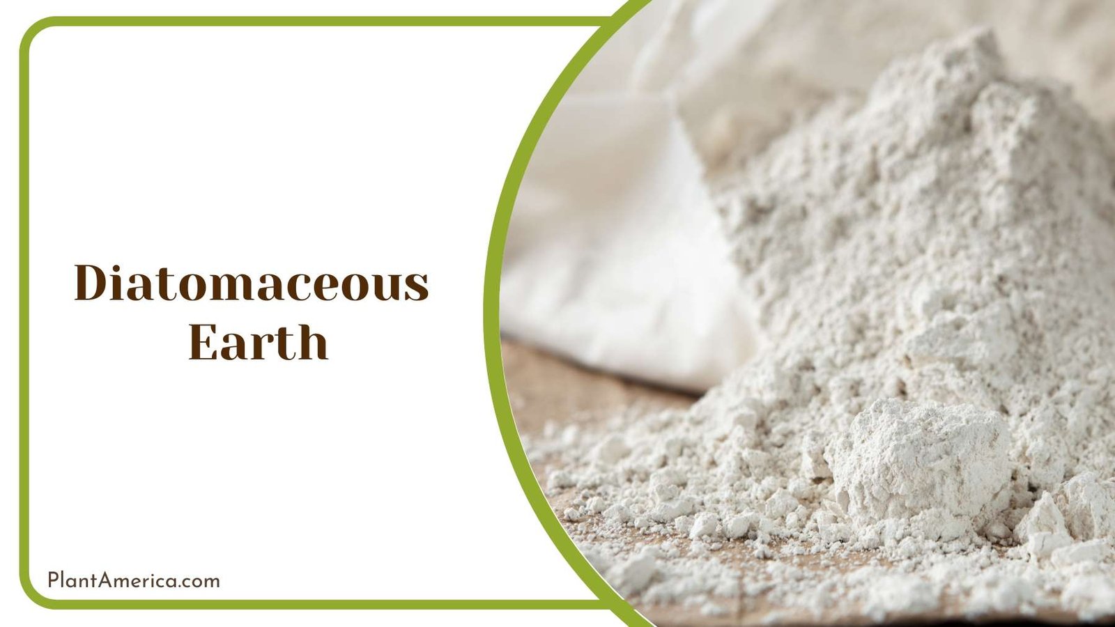 Diatomaceous Earth on Soil Plant America