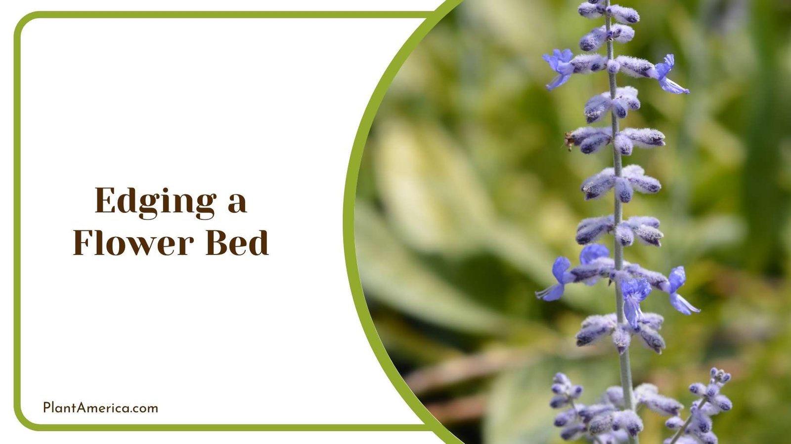 Edging a Flower Bed Plant America