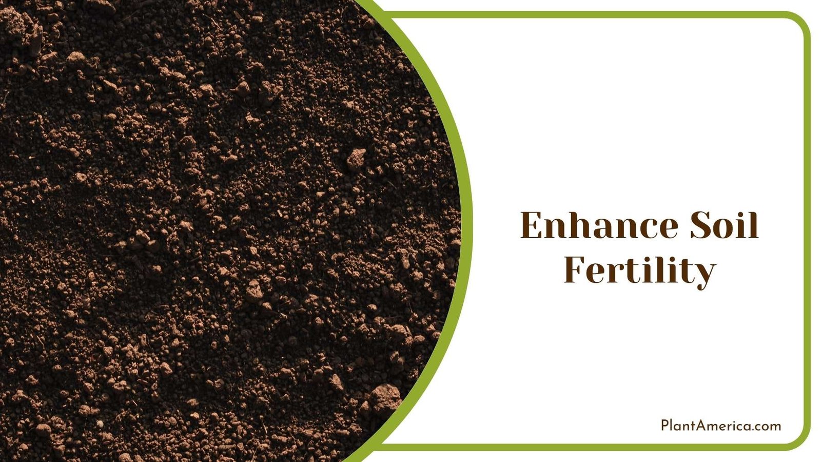 Enhance Soil Fertility Plant America