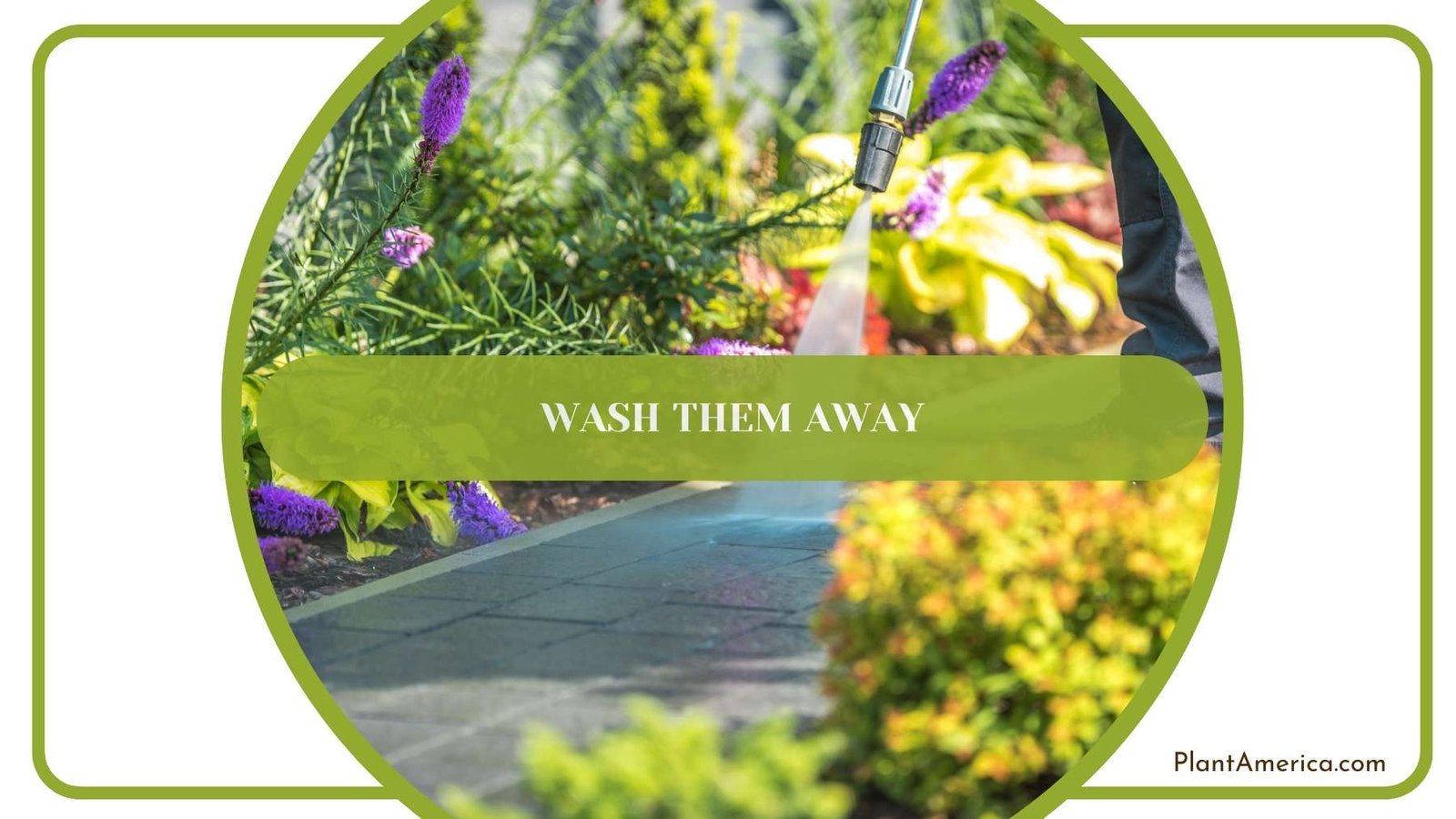 Extreme Environmental Stress Plant America 1