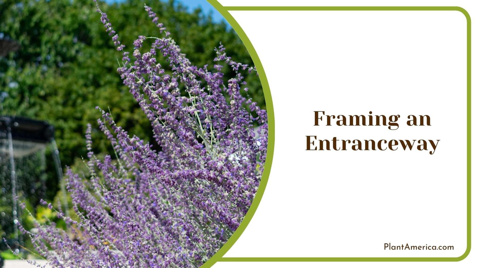 Framing an Entranceway Plant America