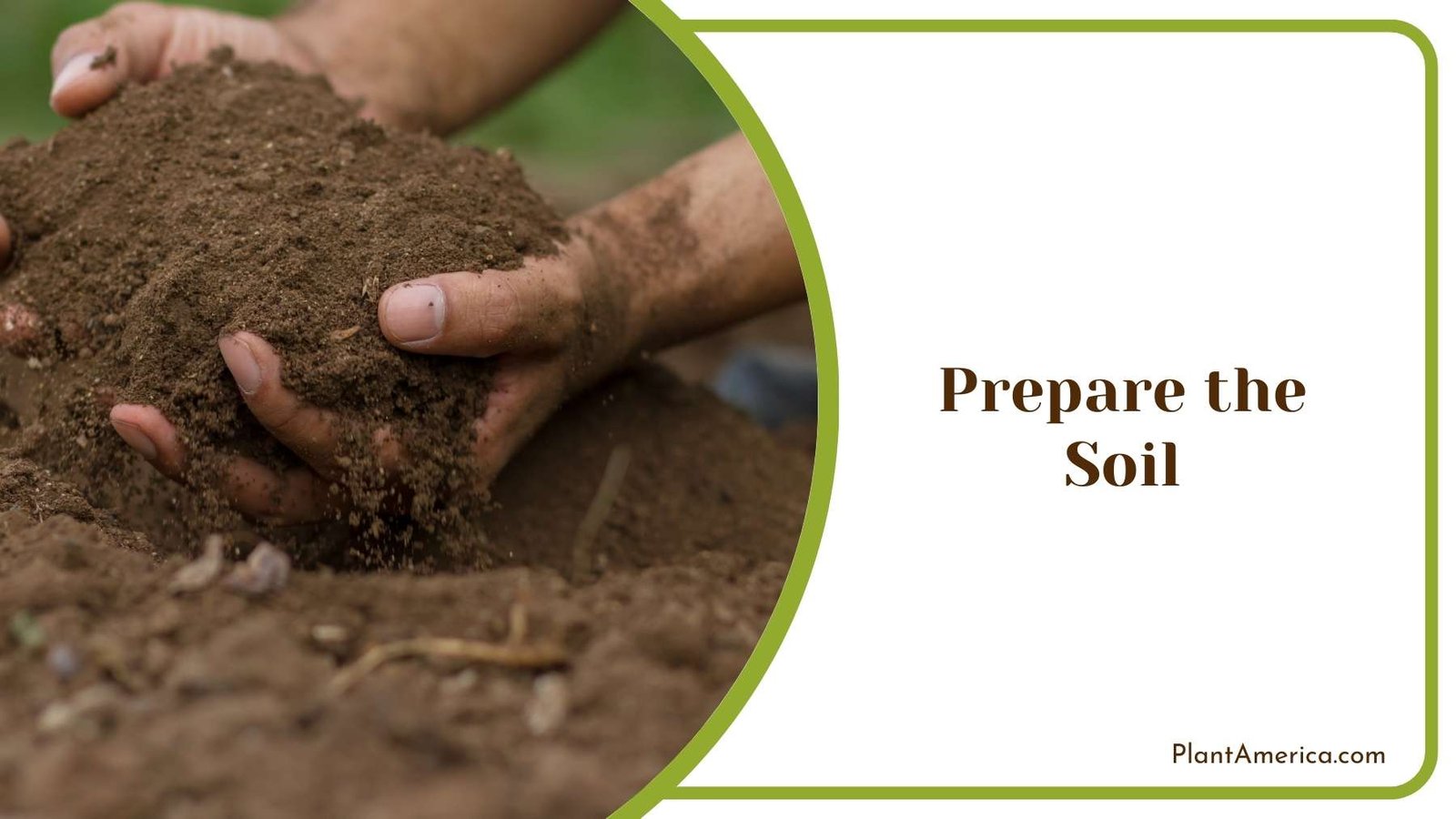 Gardener Checking The Soil Plant America Gardener Checking The Soil Plant America