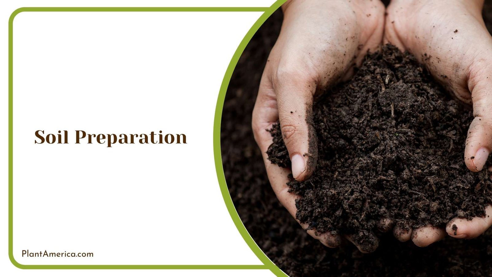 Gardener Hand Full Of Soil Plant America