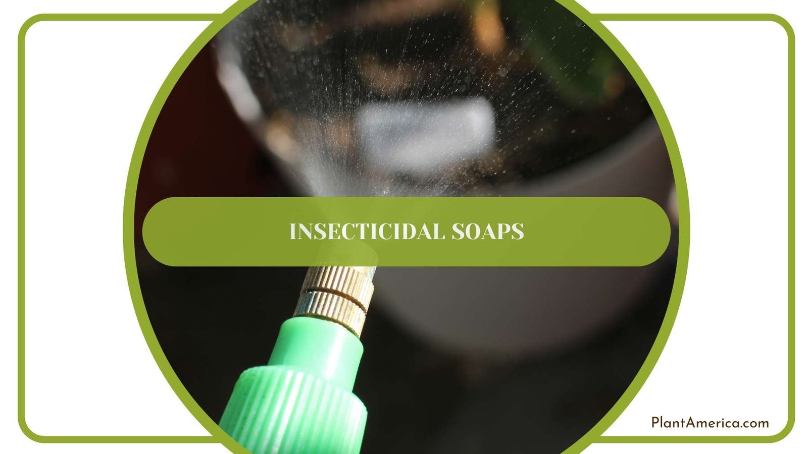 Insecticidal Soaps Plant America